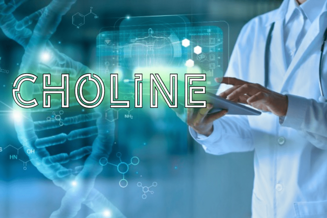 비타민 B군과 유사 영양소: 콜린 1 Choline