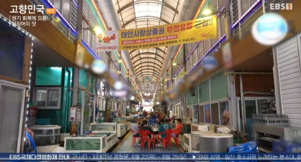고향민국 원기 회복에 으뜸 붕장어의 맛 태안 시장 붕장어 가게 어디? 6 ywAAAAAAQABAAACAUwAOw==