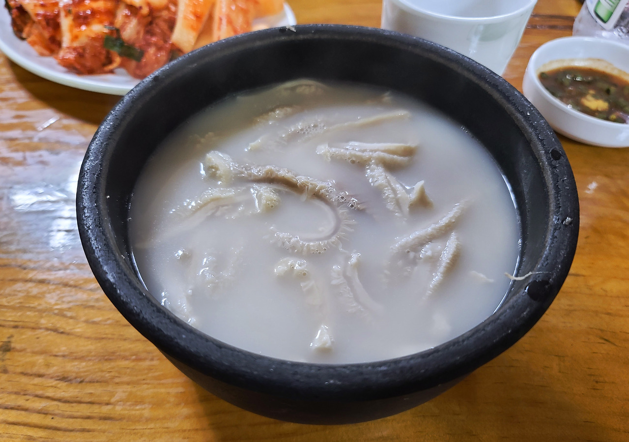 깊고 진한 국물의 설렁탕 맛집 '본가설렁탕'