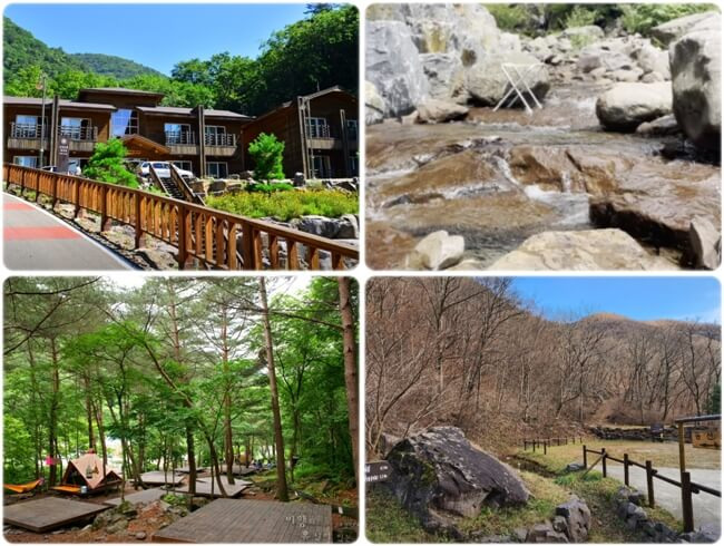 평창 가볼만한곳 두타산 자연휴양림