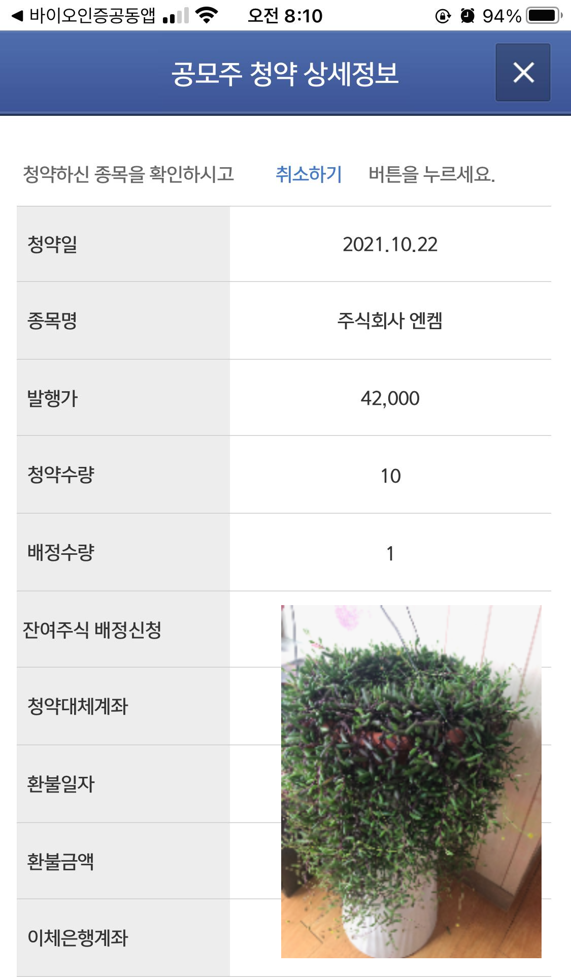 어느 주린이에게 생긴 일(feat.공모주 카카오페이 청약비율) 4 ywAAAAAAQABAAACAUwAOw==
