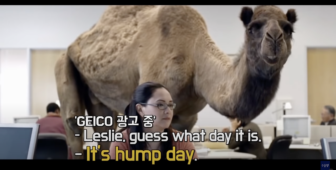 Honest mistake, solid, Thanks for the heads-up, hump day, RSVP, takeaway 6 ywAAAAAAQABAAACAUwAOw==