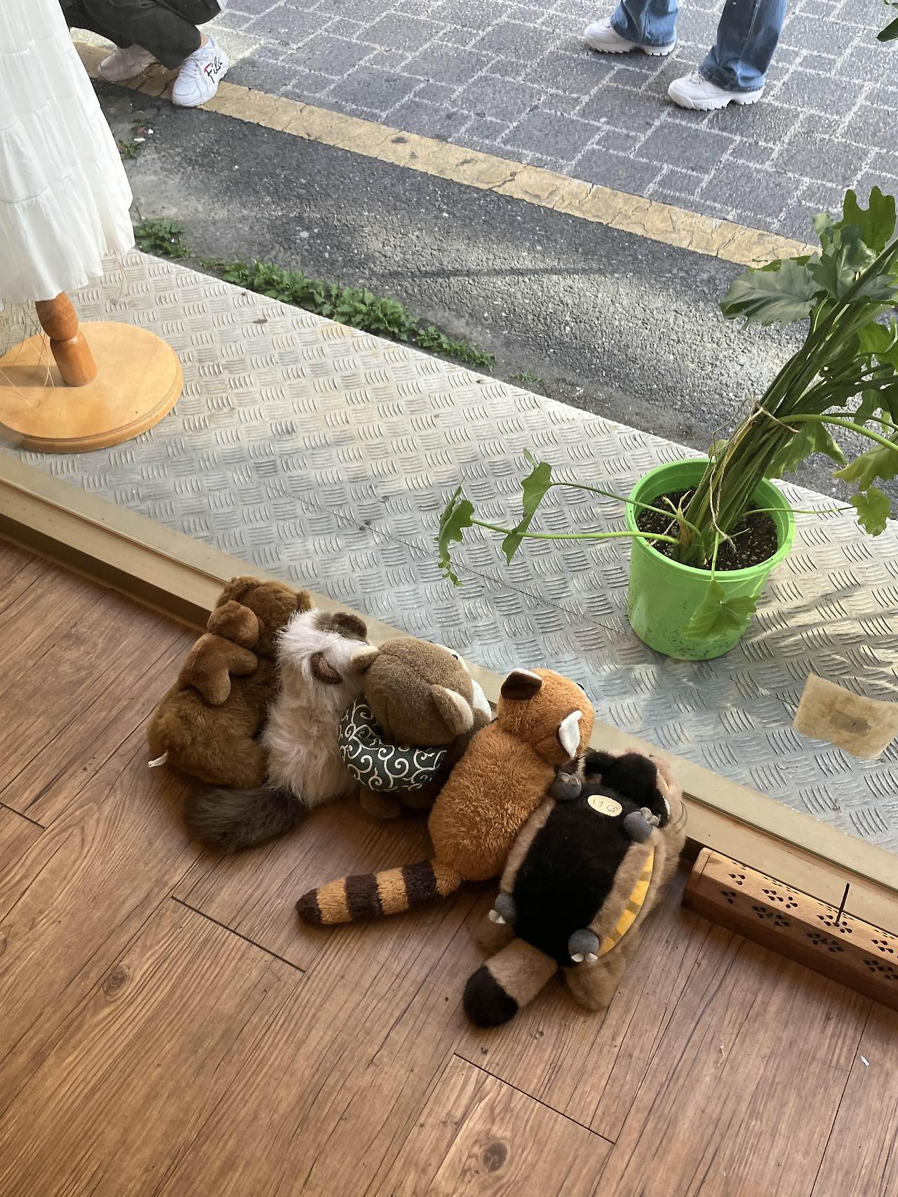 대전 초코에몽
