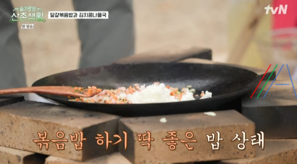 슬기로운 산촌생활 달걀볶음밥 만들기 레시피 16 ywAAAAAAQABAAACAUwAOw==