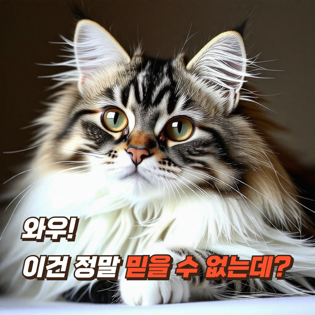 Ultimate Guide to Cat Litter Box Maintenance Keep it Clean and OdorFree