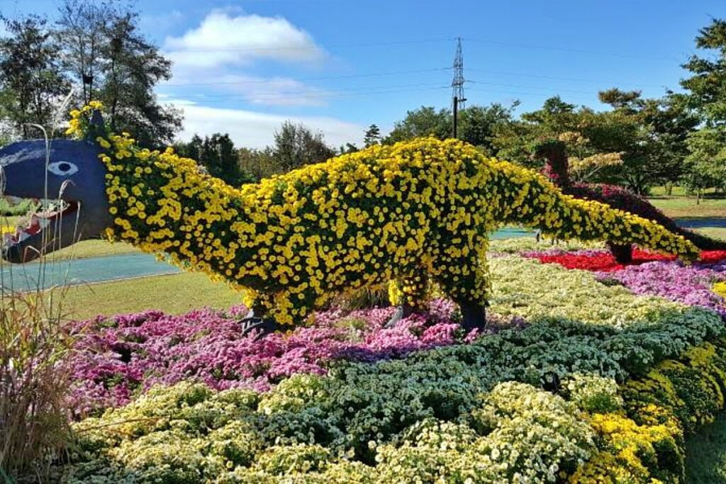 드림파크 국화축제 등 핑크뮬리 인생샷 TOP17 서울, 경기, 인천
