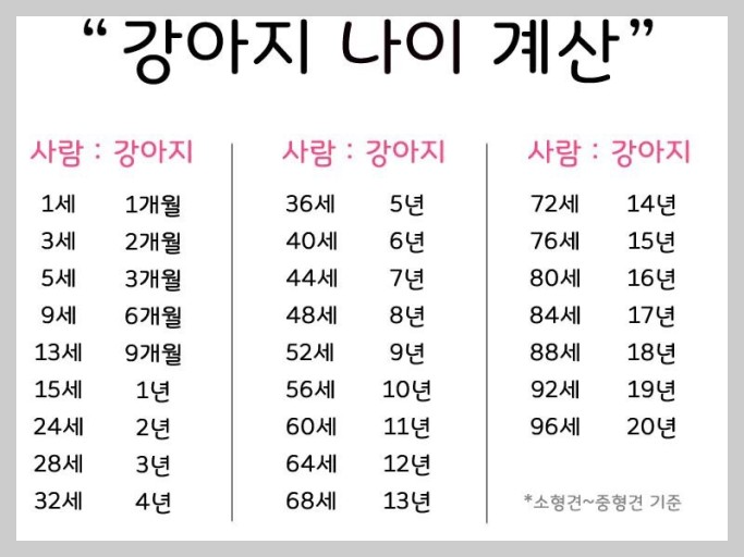 저렴한 강아지 펫보험 보험료 비교 가입 후기 (ft. 세계 펫보험 가입률) 4 ywAAAAAAQABAAACAUwAOw==