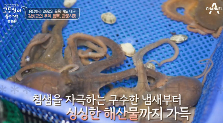 고두심이좋아서 관문시장, 응답하라 2023 골목 가도 대구, 김성균의 추억 듬뿍 3 ywAAAAAAQABAAACAUwAOw==