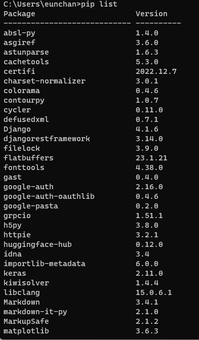 py pip install requirements txt