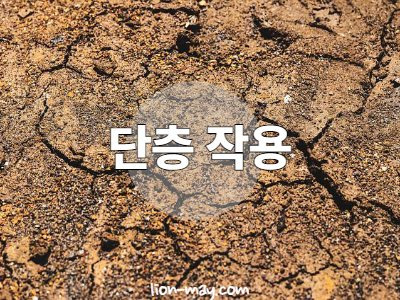 단층의 위험성과 단층 작용