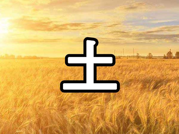 사주 토(土) 오행 분석