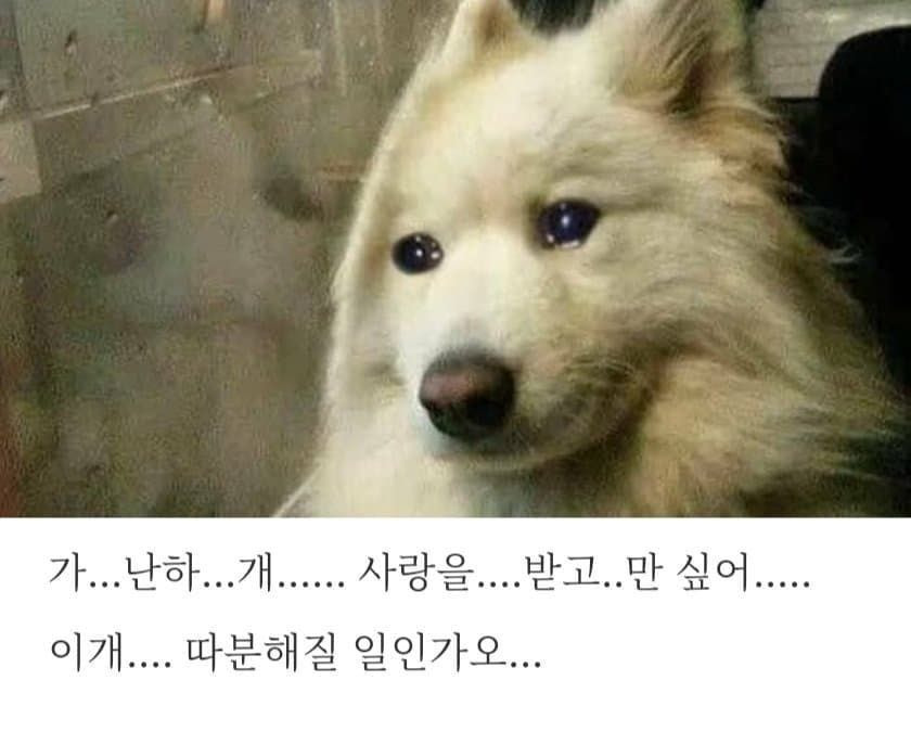 ?scode=mtistory2&fname=https%3A%2F%2Fblo