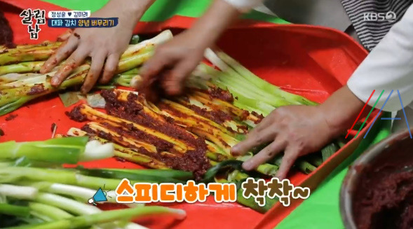 살림남 마약 김치 양념장, 총각무 김치 & 대파 김치 담그기 만들기 만드는 법 레시피, 정성윤 임성근 김장 김치 담그는법 만들기 레시피 - 2시간 김장김치 + 비법 양념장 22 ywAAAAAAQABAAACAUwAOw==
