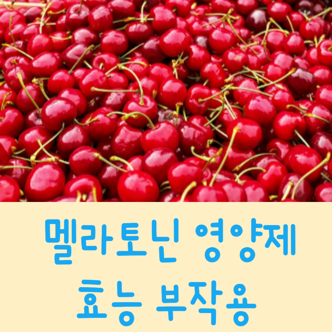 아로스 팝업