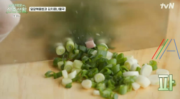 슬기로운 산촌생활 달걀볶음밥 만들기 레시피 5 ywAAAAAAQABAAACAUwAOw==