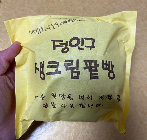 대전 빵집 투어 2곳 하레하레, 정인구팥빵 무계획 투어 소개