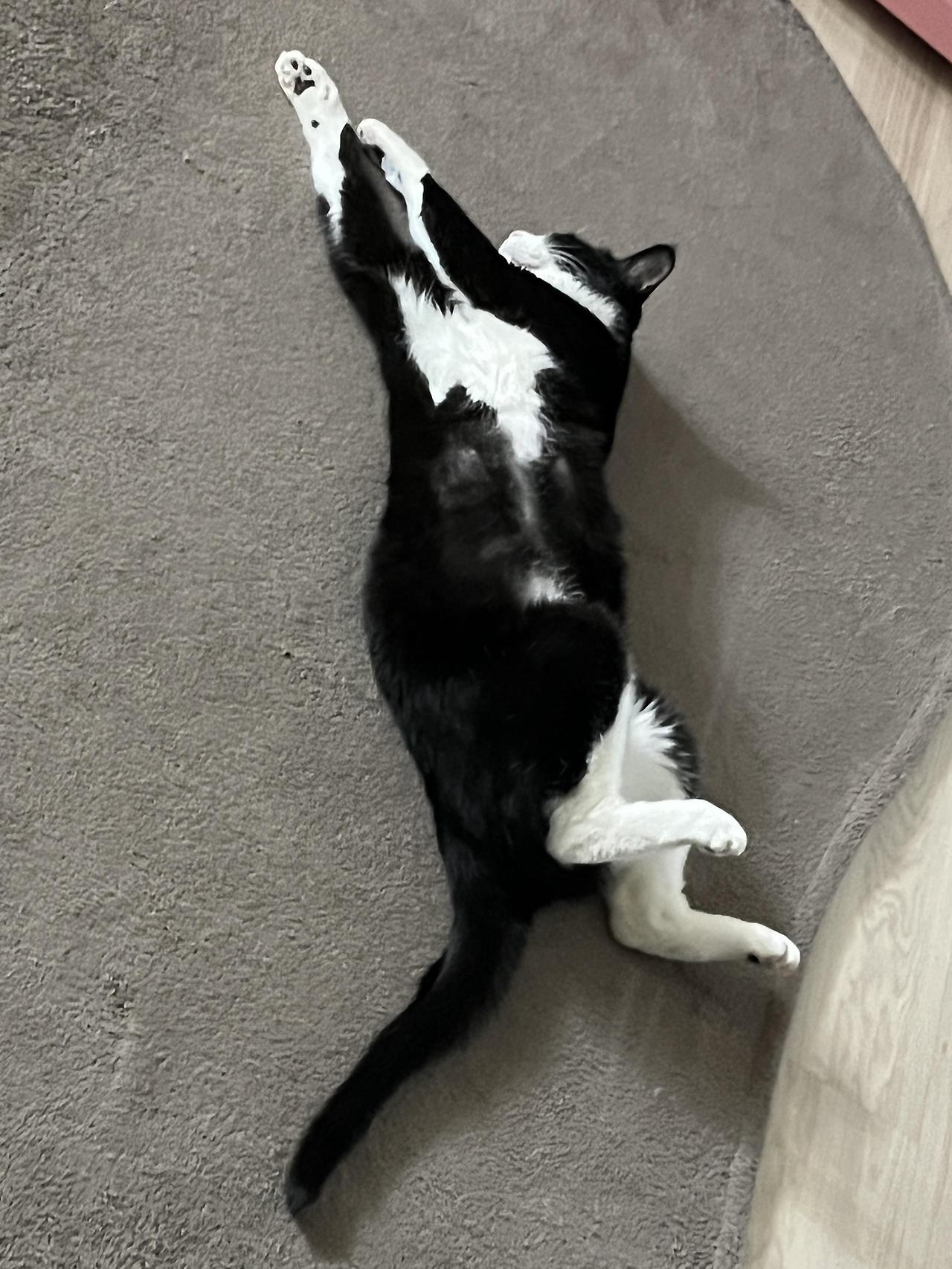 ?scode=mtistory2&fname=https%3A%2F%2Fblo