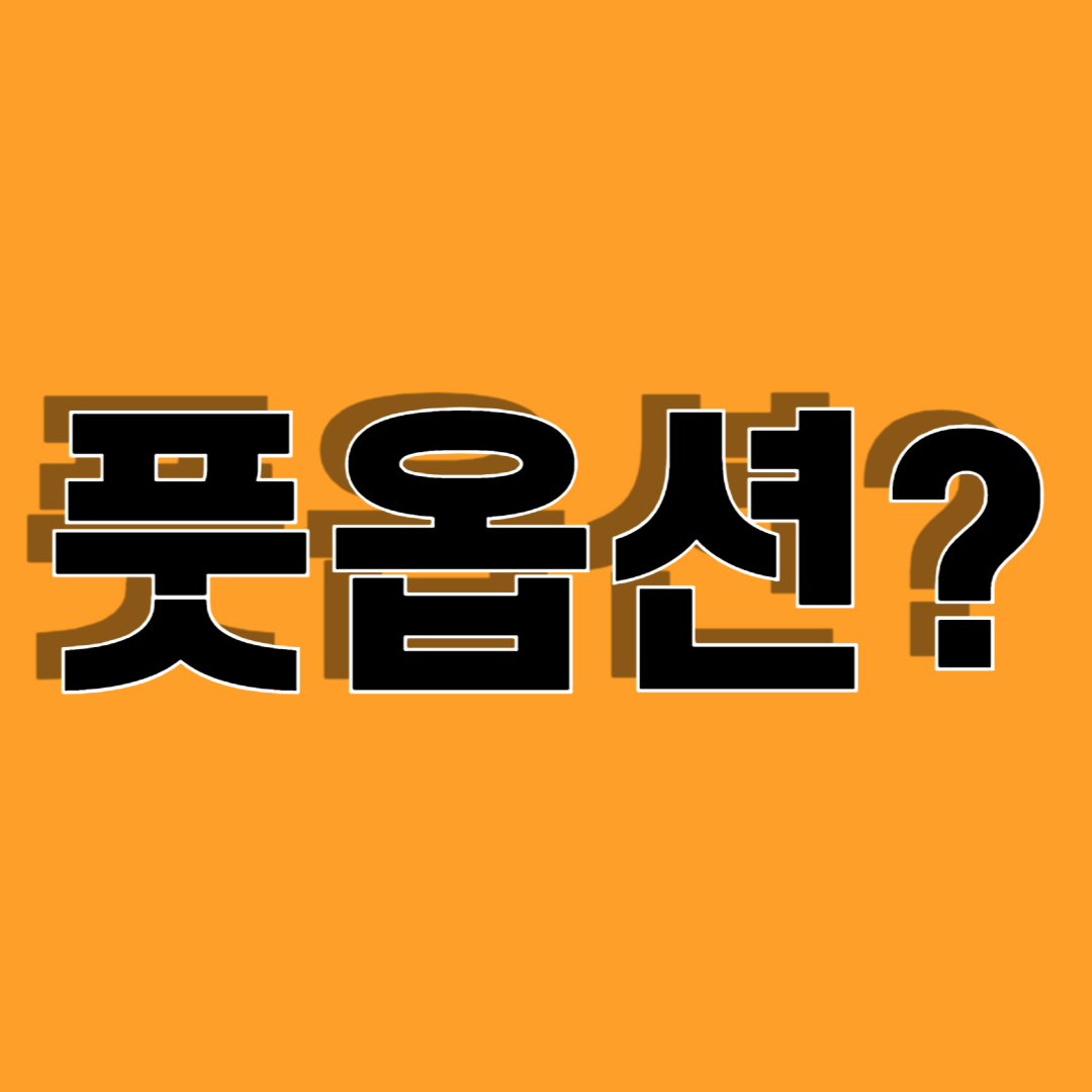 시사 용어 - 풋옵션 (Put Option)의 뜻 1 시사 용어 - 풋옵션 (Put Option)의 뜻