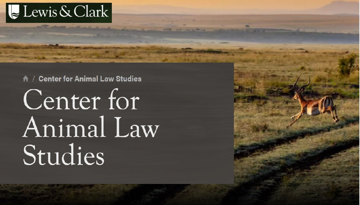 lewis-and-clark-law-school-2021-2022