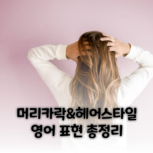 유용한 영어 표현 - 머리카락과 헤어스타일 관련 영단어 총정리 1 머리카락과 헤어스타일 관련 영단어 총정리