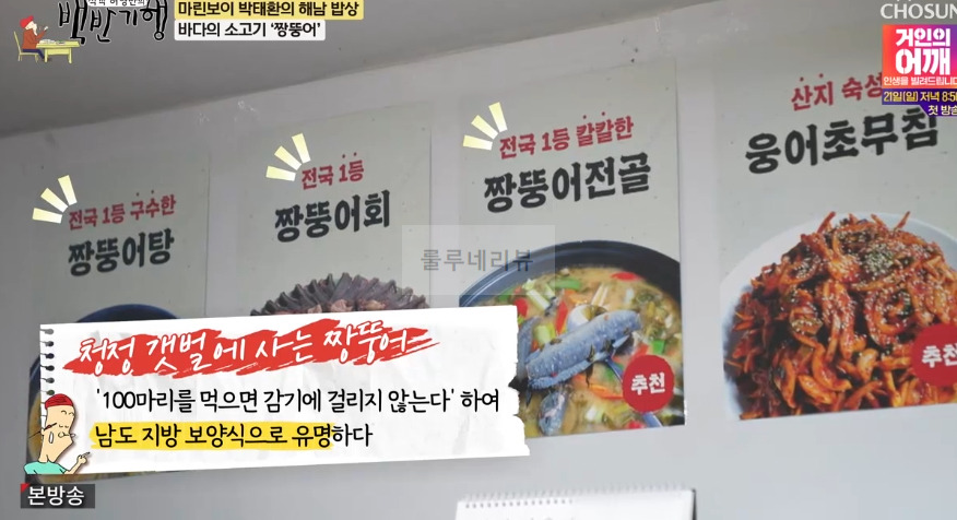 백반기행 바다의 고기 짱뚱어탕 식당 어디? 마린보이 박태환의 해남 밥상 황산면 짱뚱어회 짱뚱어전골 웅어초무침 해남식 복달임 음식 5 ywAAAAAAQABAAACAUwAOw==