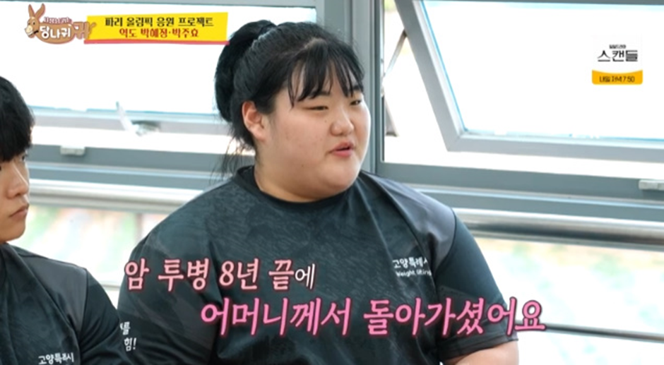 다리다리 분석과 실시간패턴통계