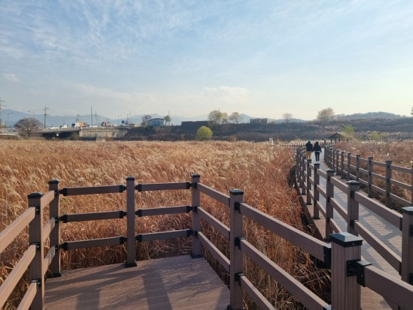 대구 가볼만한곳 베스트 7, 대구에서 빼놓을 수 없는 매력 소개합니다.