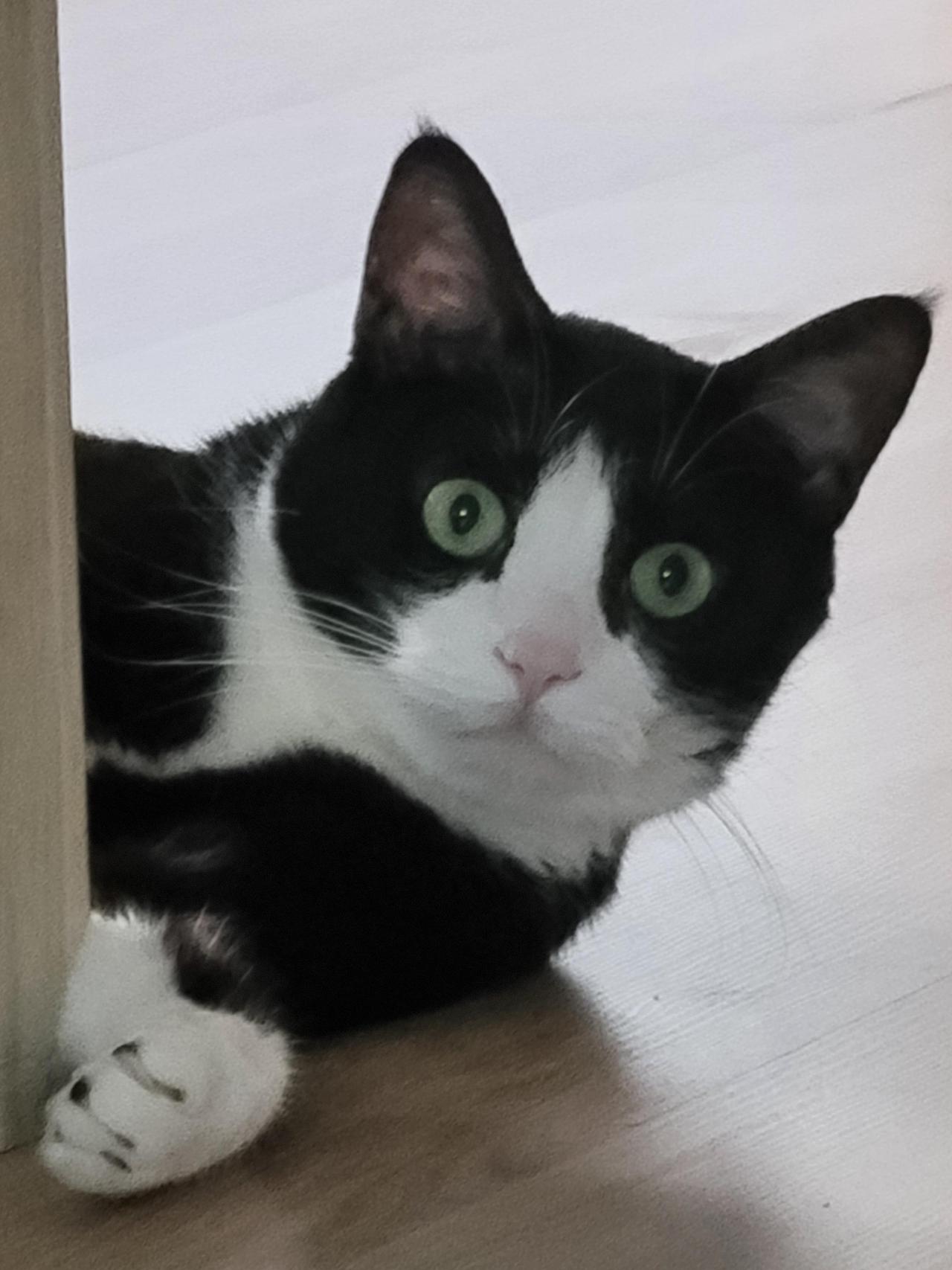 ?scode=mtistory2&fname=https%3A%2F%2Fblo