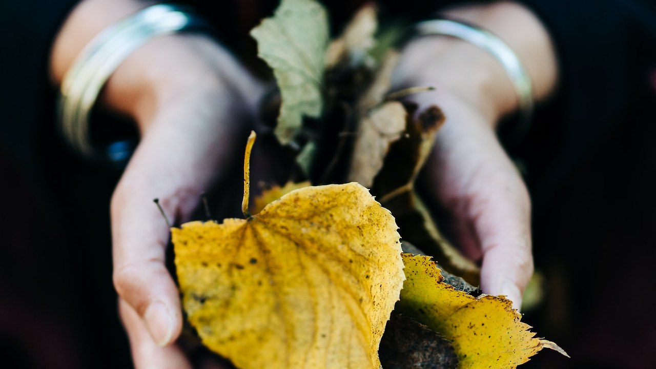 leading-causes-of-death-in-the-uk-london-nutritionist-synergy-nutrition