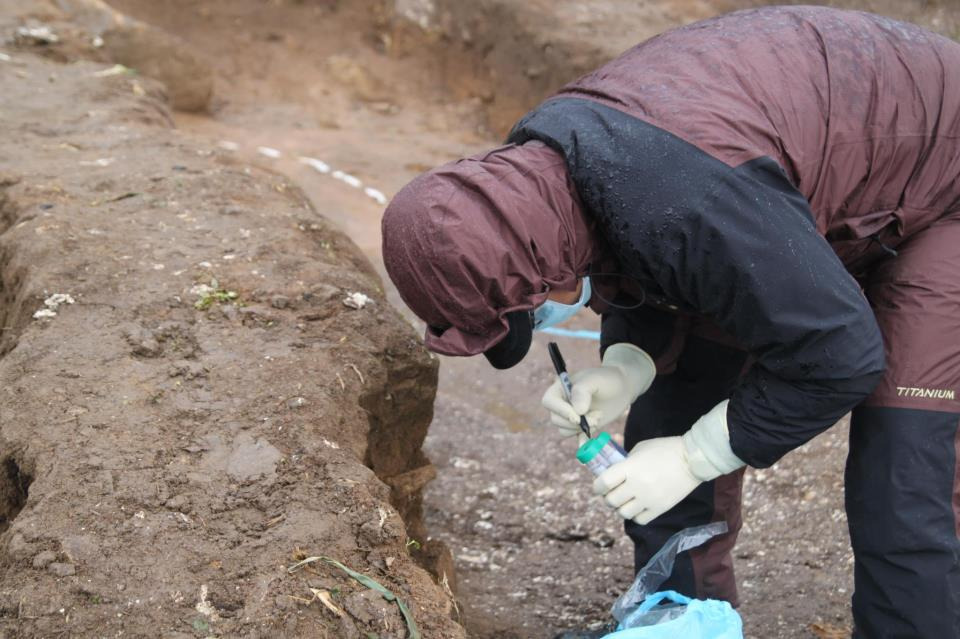 근간: 사람과 동물의 분석-고고과학 연구개론