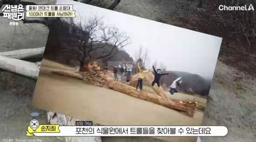 한국 포천 트롤 있는 곳 위치 보기! 선넘은패밀리 덴마크 트롤 순찰대, 한국 트롤 해피 킴 3 ywAAAAAAQABAAACAUwAOw==