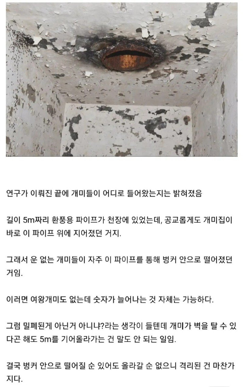 ?scode=mtistory2&fname=https%3A%2F%2Fblog.kakaocdn.net%2Fdn%2FbXBz5A%2FbtrE7DlbIvw%2FFlKmCaiCIk0oWkTek5Ua91%2Fimg.jpg