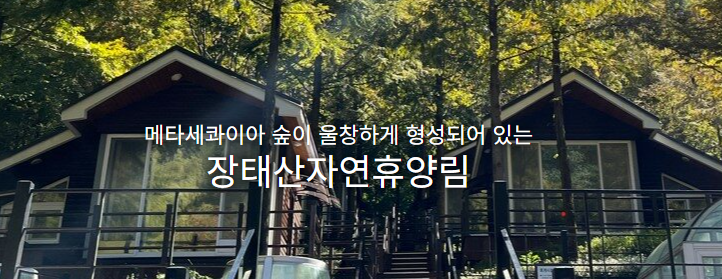 대전 장태산 자연휴양림 예약 6인실, 15인실 신청 사이트