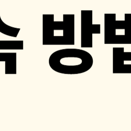 나이스 VPN 접속 방법 안내: 클라이언트부터 iOS까지 총정리!