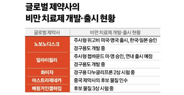 뜨거운 비만치료제 시장, 노보 노디스크와 일라이 릴리 4 ywAAAAAAQABAAACAUwAOw==