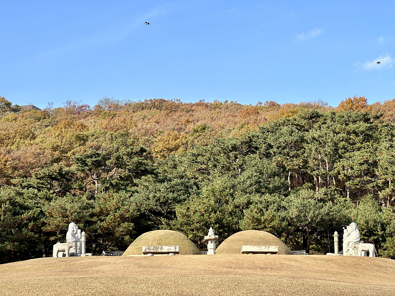 김포 장릉 | 김포장릉 세계문화유산 | 김포 장릉 아파트