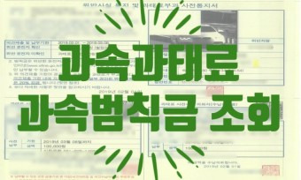 과속·속도위반 과태료 조회 방법 총정리