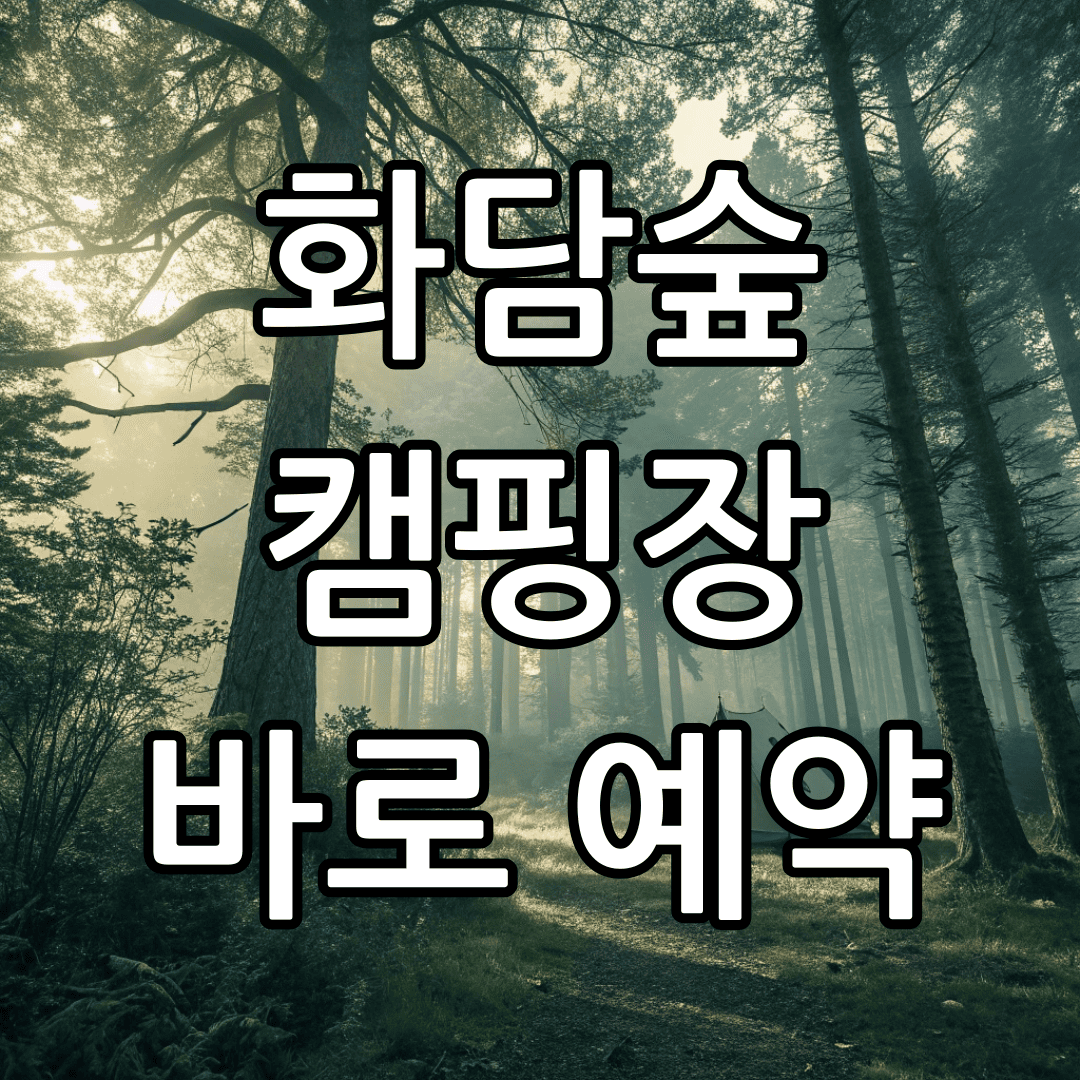 아로스 팝업