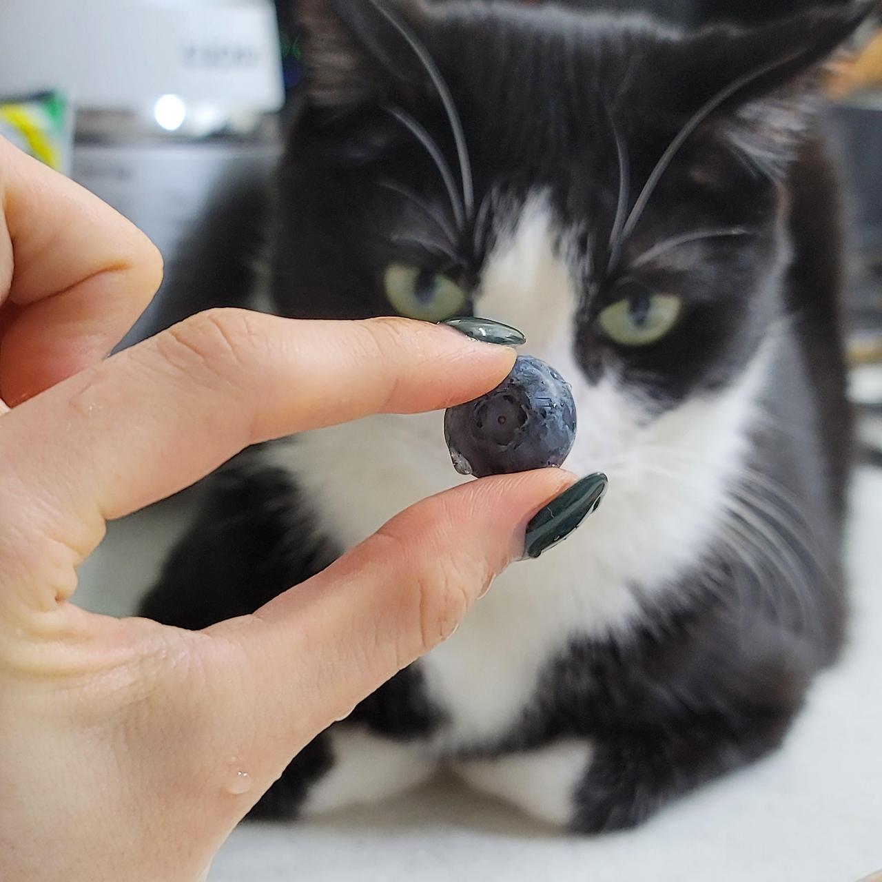 ?scode=mtistory2&fname=https%3A%2F%2Fblo