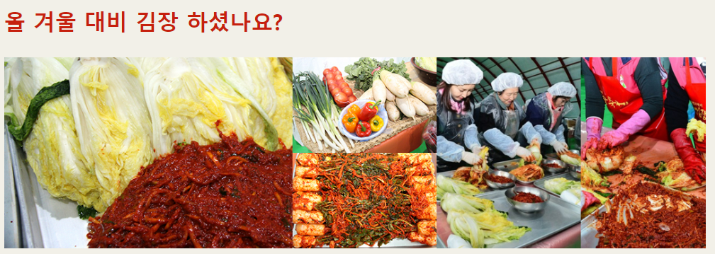 평창고랭지김장축제 예약 방법, 일정, 프로그램, 장소 (알타리 7만원)