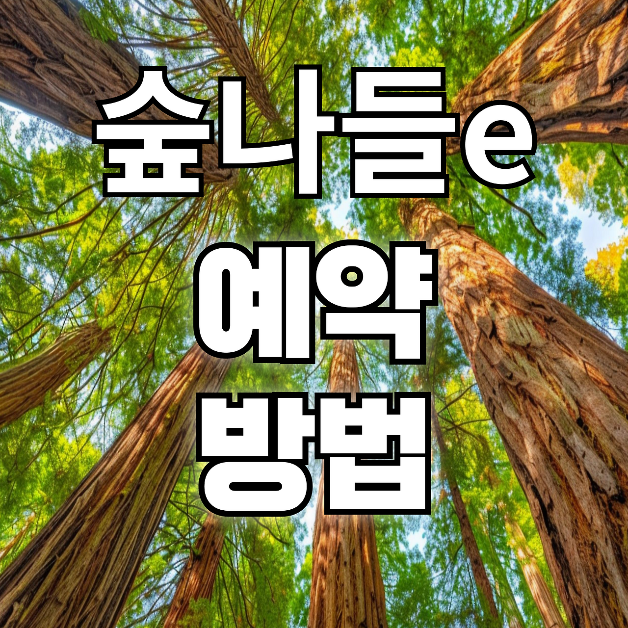 아로스 팝업