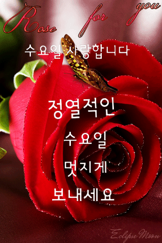 수요일 인사말, 메세지, 이미지 13가지... 수요일 아침인사 즐거운 하루의 시작을 선물하세요! - 생활 정보 관심이