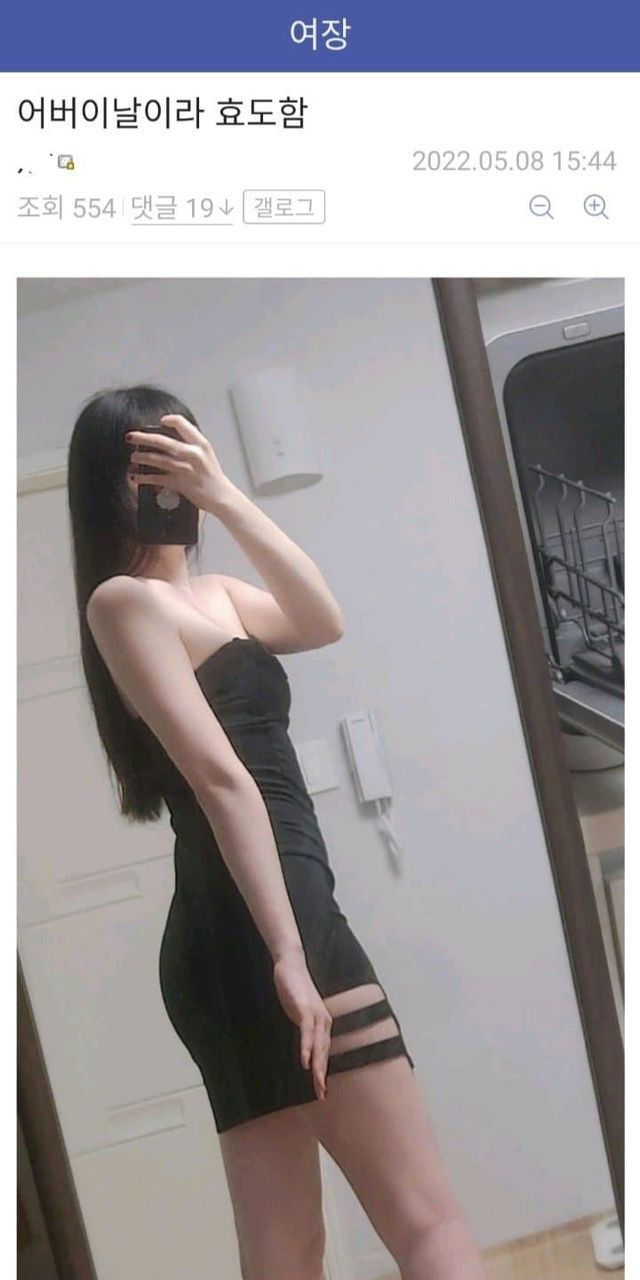 어질어질 디씨식 효도