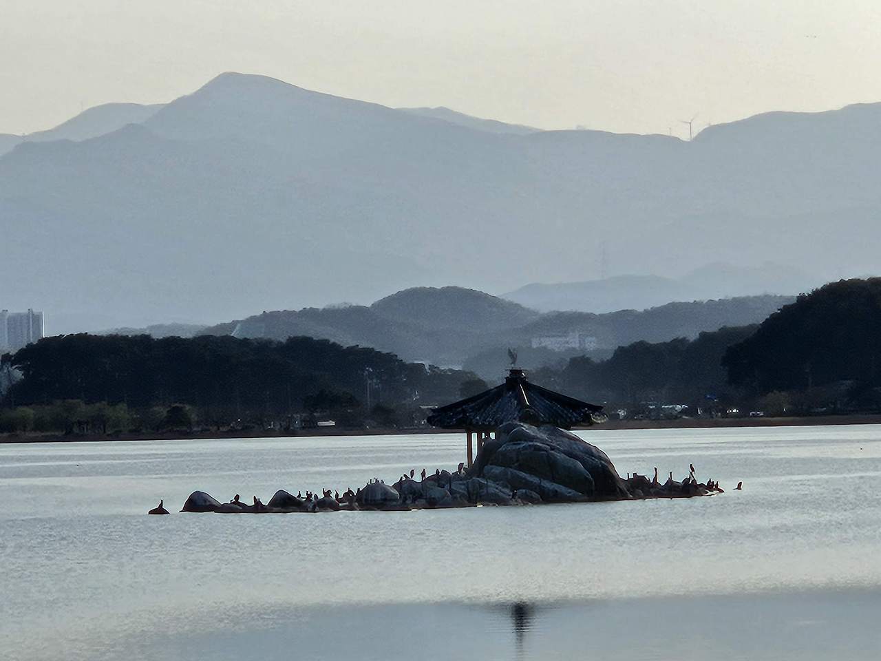 강릉 가볼만한 곳 경포호 자전거 대여 코스 가격 후기 8 ywAAAAAAQABAAACAUwAOw==