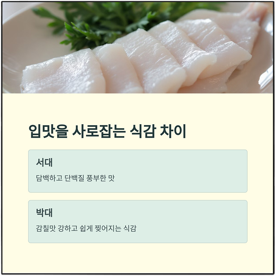 서대와 박대 더이상 헷갈리지 마세요. 놀라운 차이점 정리