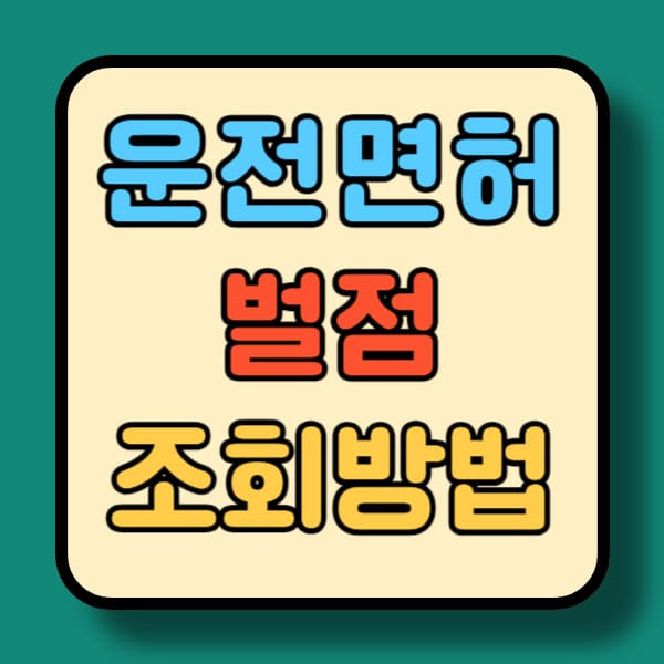 운전면허벌점조회