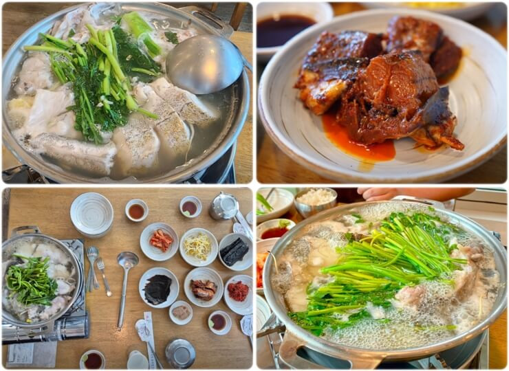 속초 맛집 속초생대구