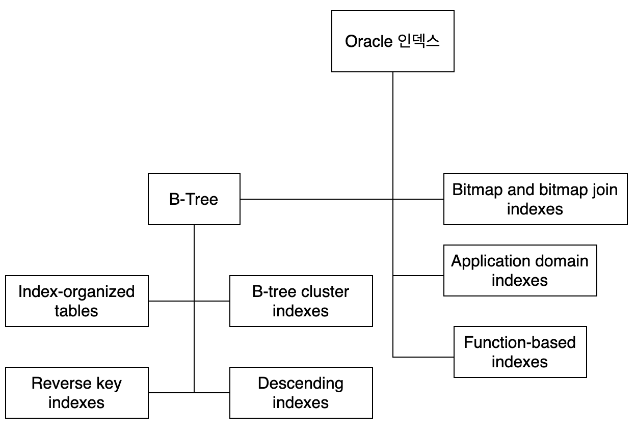 [Database] Oracle Database Index (19c 기준)