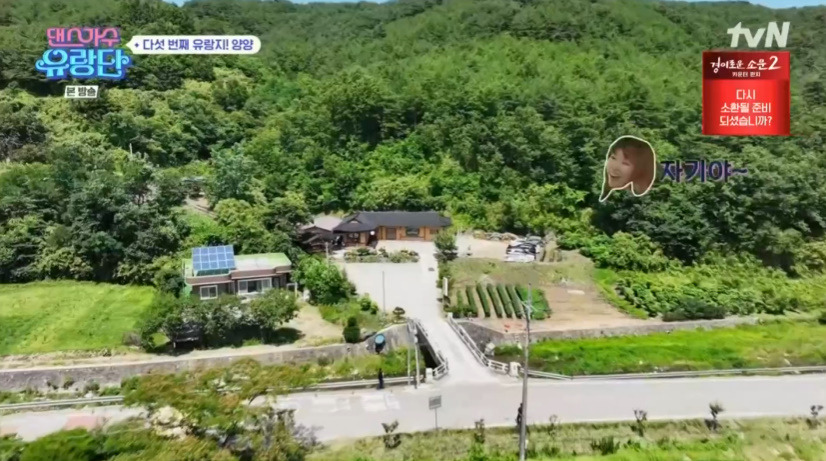 댄스가수 유랑단 양양 막국수, 수육, 도토리묵 식당 촬영지 정보 - 8회 7월 13일 다섯 번째 유랑지 5 ywAAAAAAQABAAACAUwAOw==