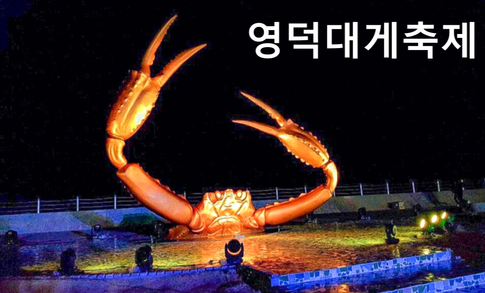 2025 영덕대게축제 일정 숙박 맛집 추천 주차장 위치